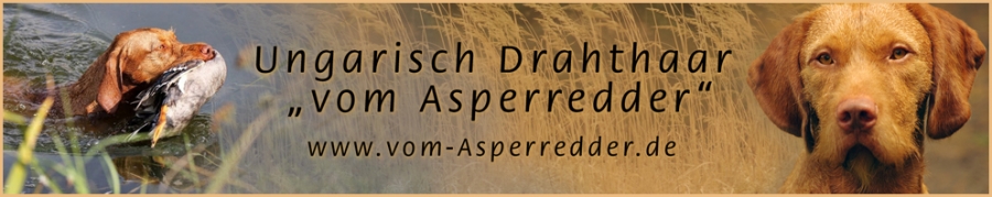 Banner-Aktuell