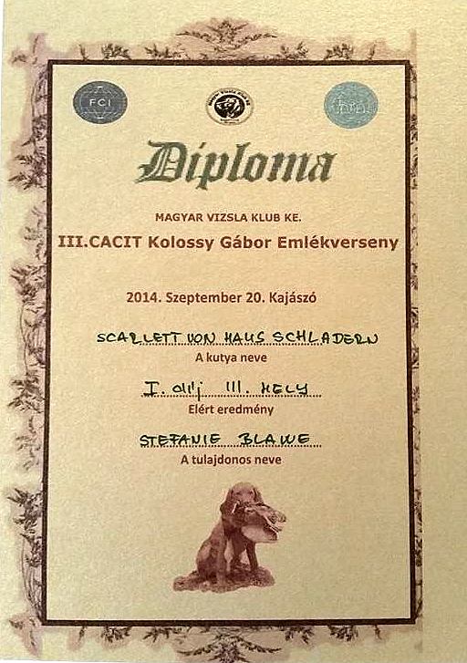 KolossyI