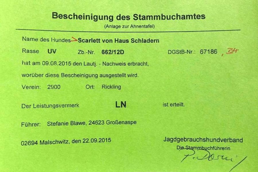 Lautnachweis Szeles