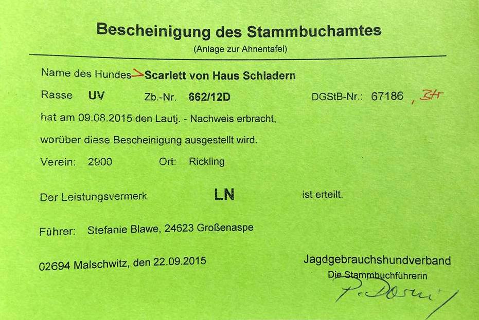 Lautnachweis Szeles